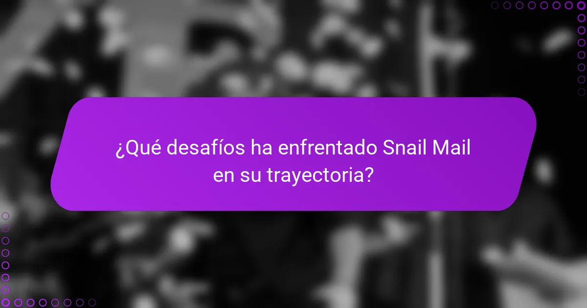 ¿Qué desafíos ha enfrentado Snail Mail en su trayectoria?